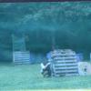 PaintBall8