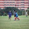 Pict0041